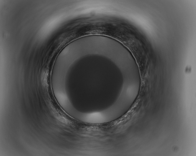 X0000101450146200807071414