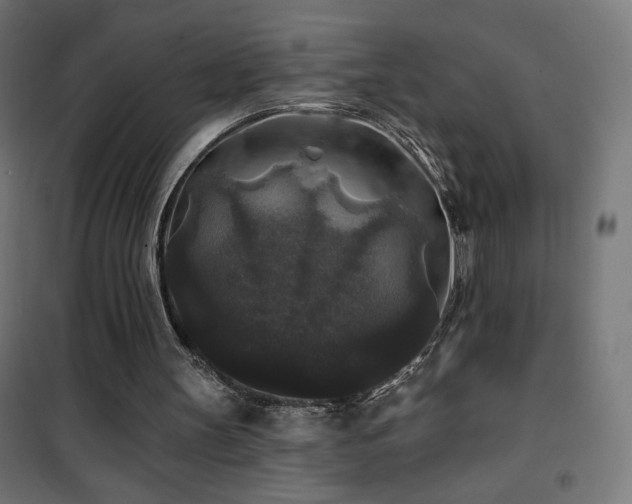 X0000101450147200807071414