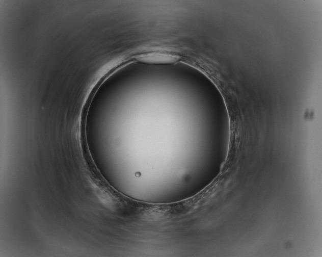 X0000101450148200807071414