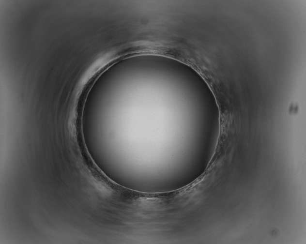 X0000101450150200807071414