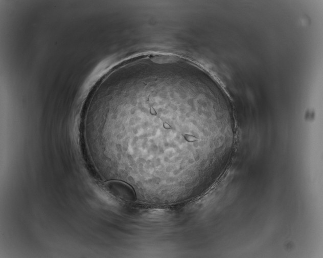 X0000101450151200807071414