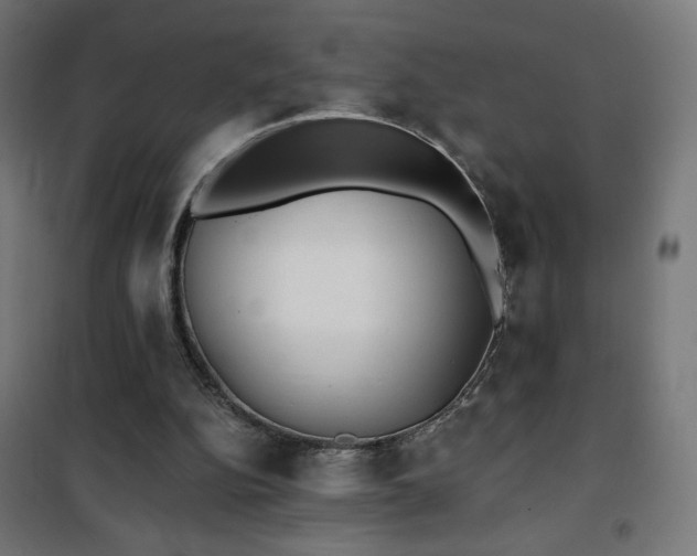 X0000101450152200807071414