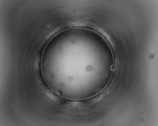 X0000101450153200807071414