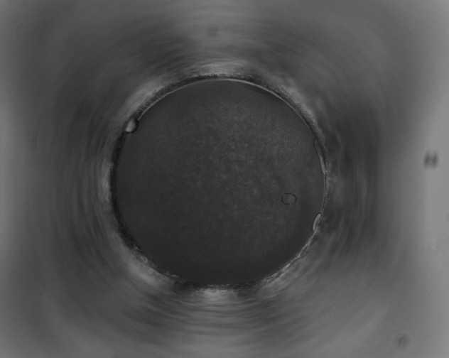 X0000101450154200807071414