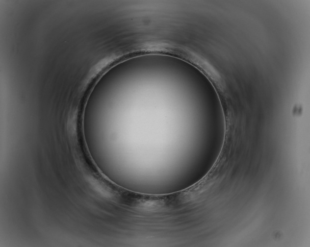 X0000101450155200807071414