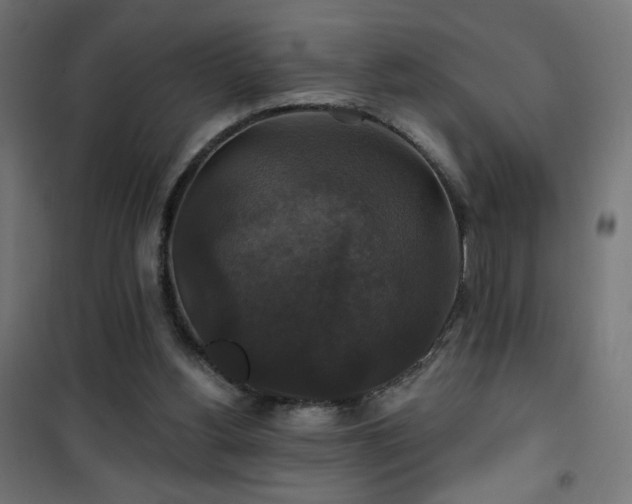 X0000101450156200807071414