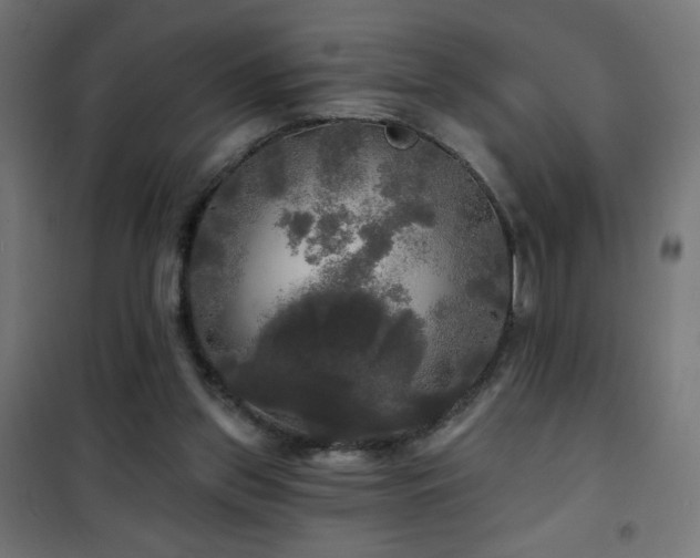 X0000101450157200807071414