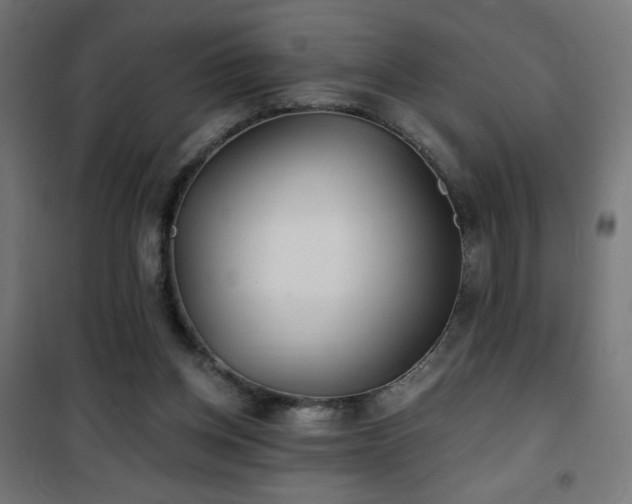 X0000101450158200807071414