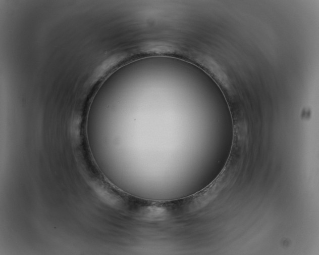 X0000101450159200807071414