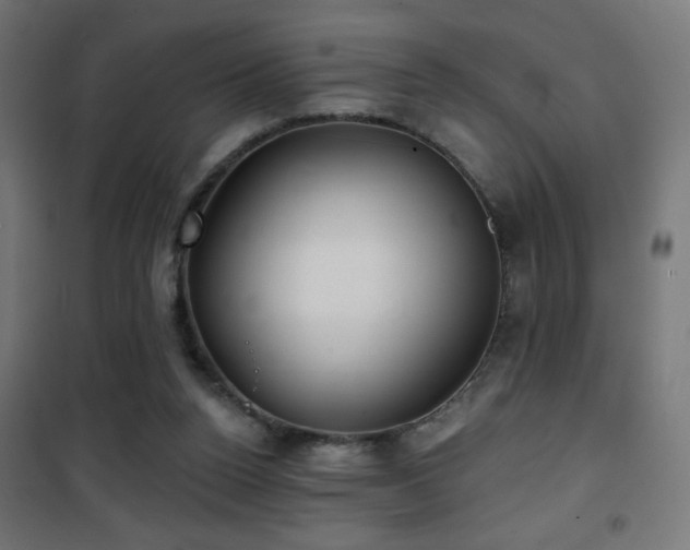 X0000101450160200807071414