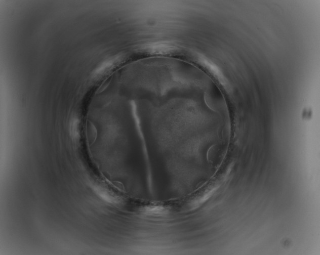 X0000101450161200807071414