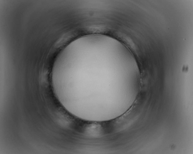 X0000101450162200807071414