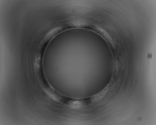 X0000101450163200807071414