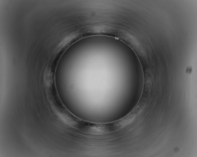 X0000101450164200807071414