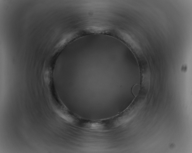 X0000101450165200807071414