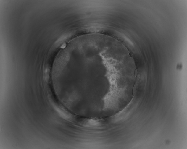 X0000101450166200807071414