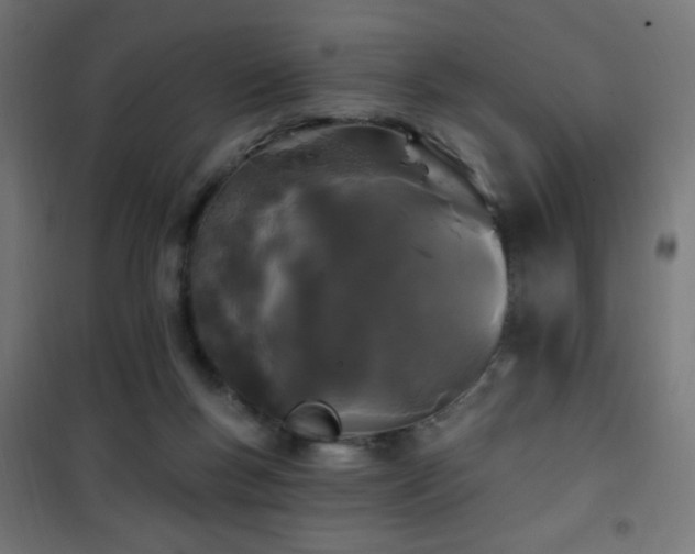 X0000101450167200807071414