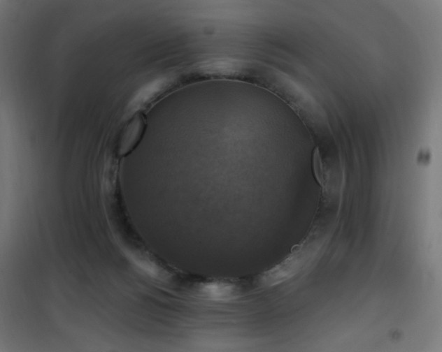 X0000101450168200807071414