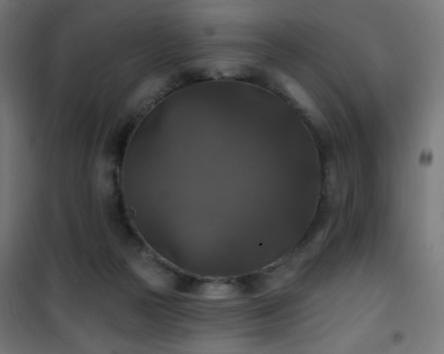 X0000101450169200807071414