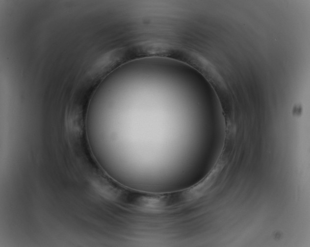 X0000101450170200807071414