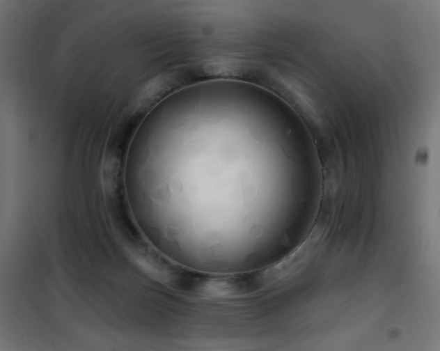 X0000101450171200807071414