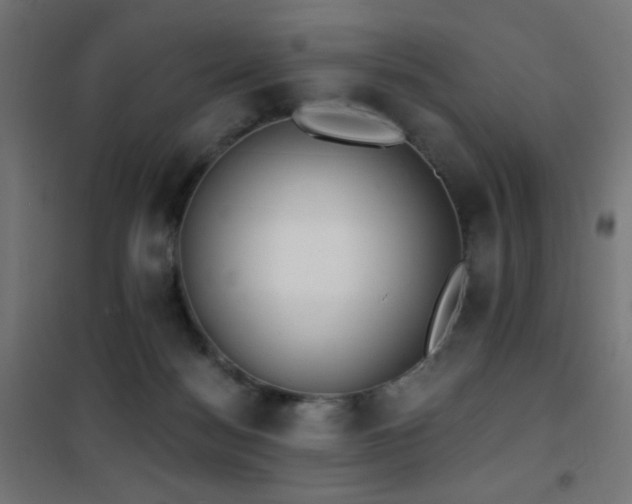 X0000101450172200807071414