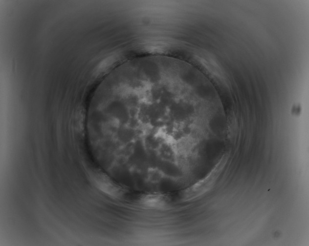 X0000101450175200807071414