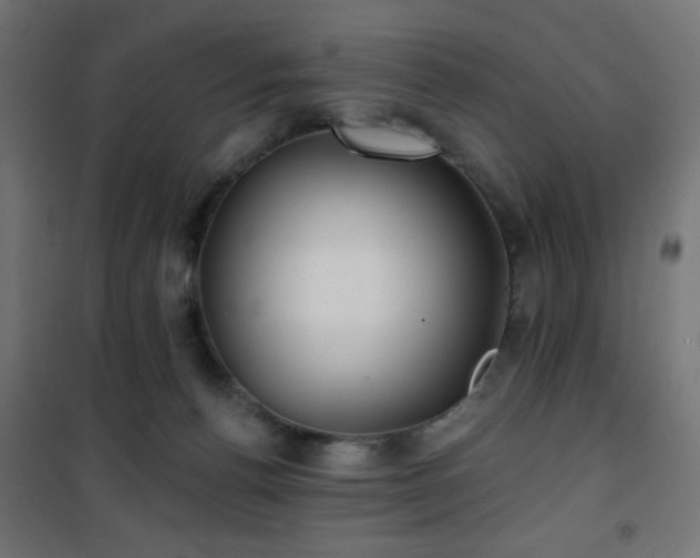 X0000101450176200807071414