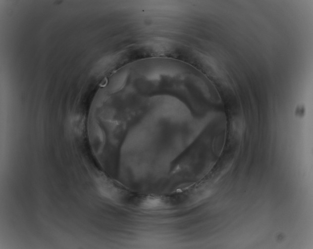 X0000101450177200807071414