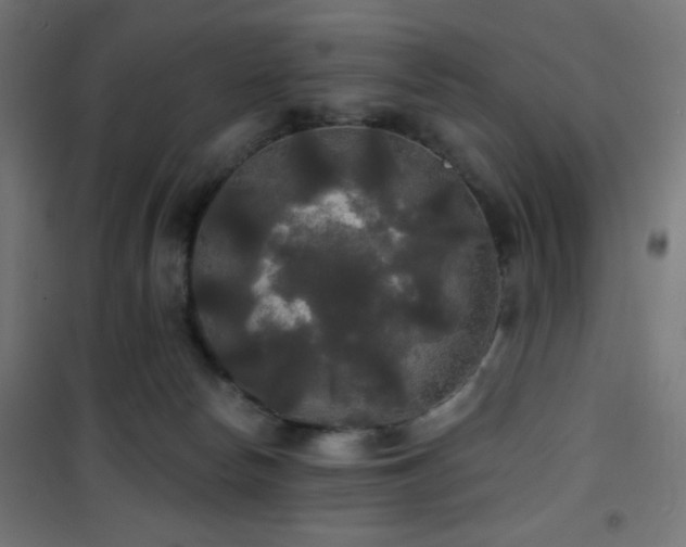 X0000101450178200807071414