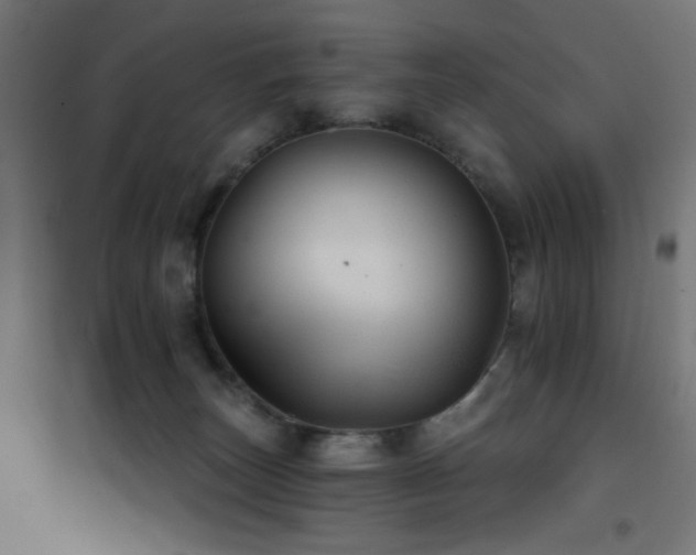 X0000101450179200807071414