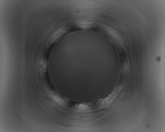 X0000101450180200807071414