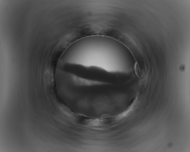 X0000101450182200807071414