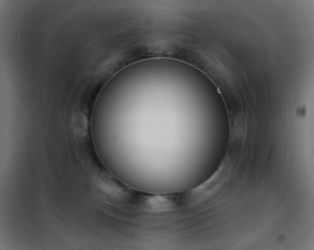 X0000101450183200807071414