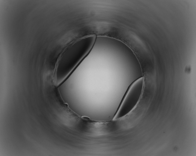 X0000101450184200807071414