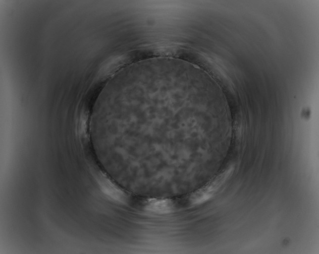 X0000101450185200807071414