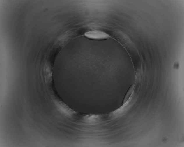 X0000101450186200807071414