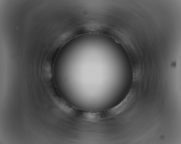 X0000101450187200807071414