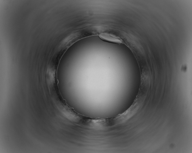 X0000101450188200807071414