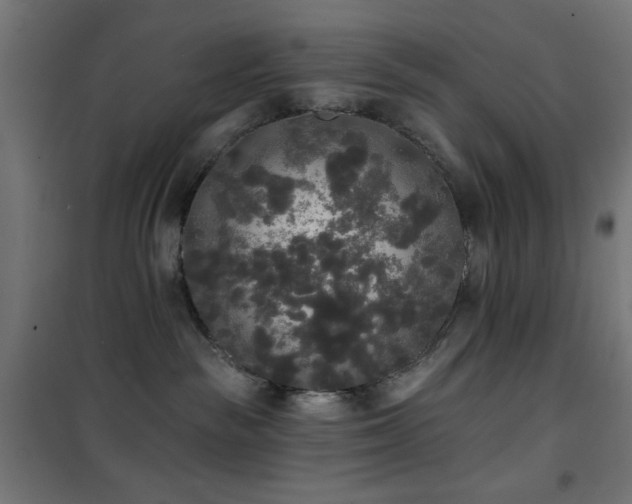 X0000101450189200807071414