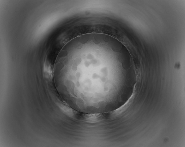 X0000101450191200807071414