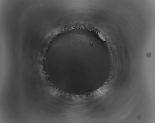 X0000101450192200807071414