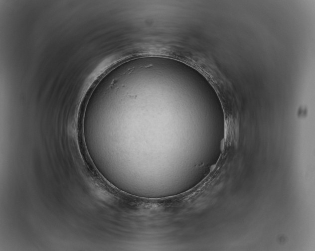 X0000101450195200807071414