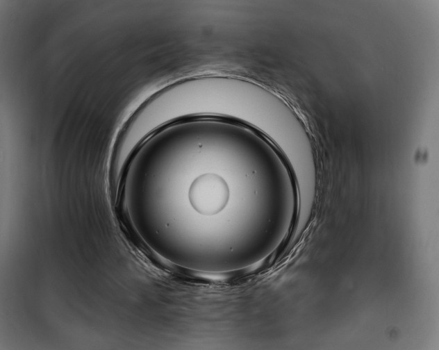 X0000101450196200807071414