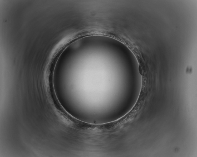 X0000101450197200807071414