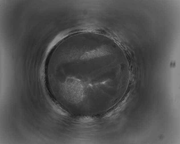 X0000101450198200807071414