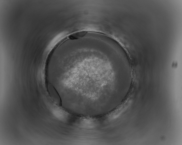 X0000101450199200807071414