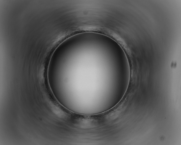 X0000101450201200807071413