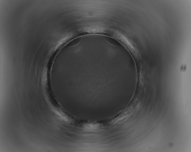 X0000101450202200807071413