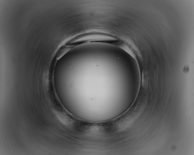 X0000101450204200807071413